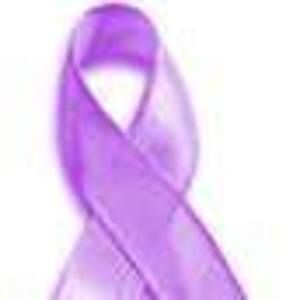 Meet your Posher, Dorothy